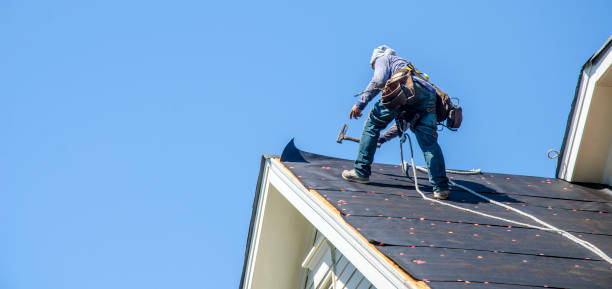 Best Roof Gutter Cleaning  in Fairview, MT